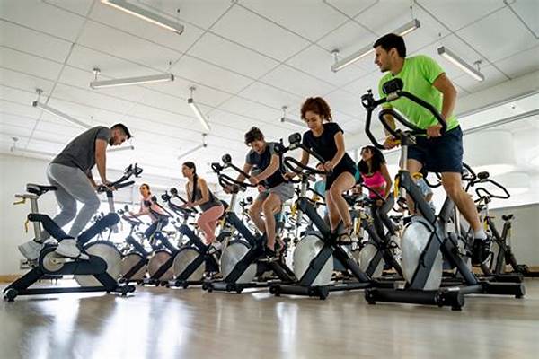 Spin Studio User Reviews Locally