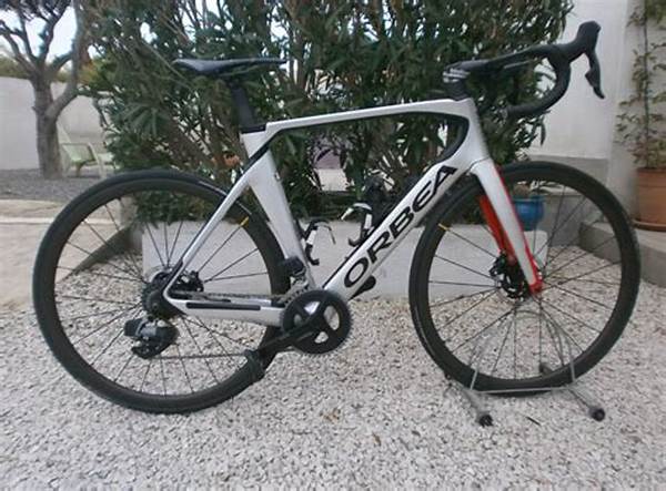 Affordable Bike Purchase Options