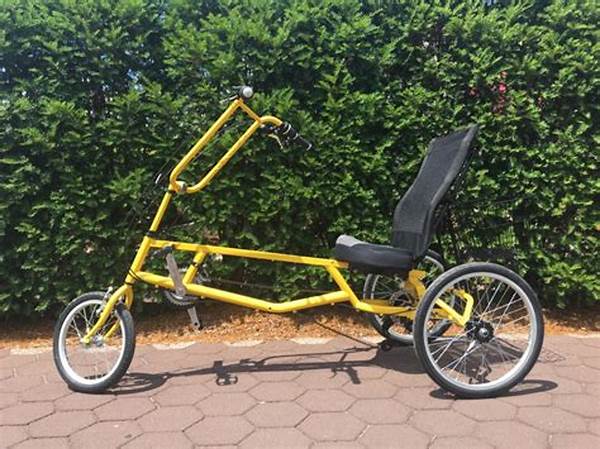 Adaptive Bicycle Classes For Elderly