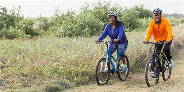 Reduced-strain Biking For Older Adults
