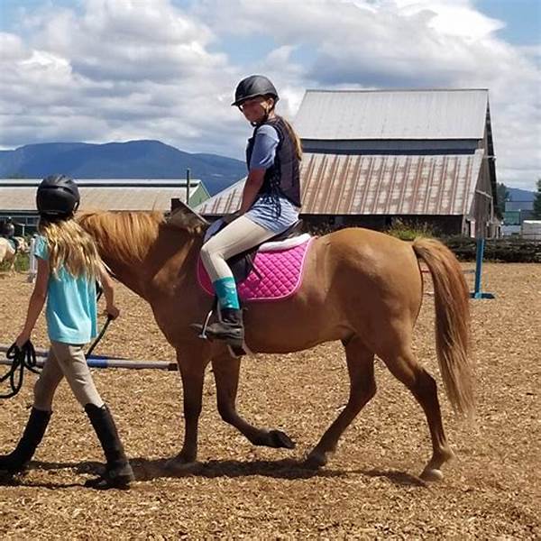 Riding School Frequent Rider Incentives