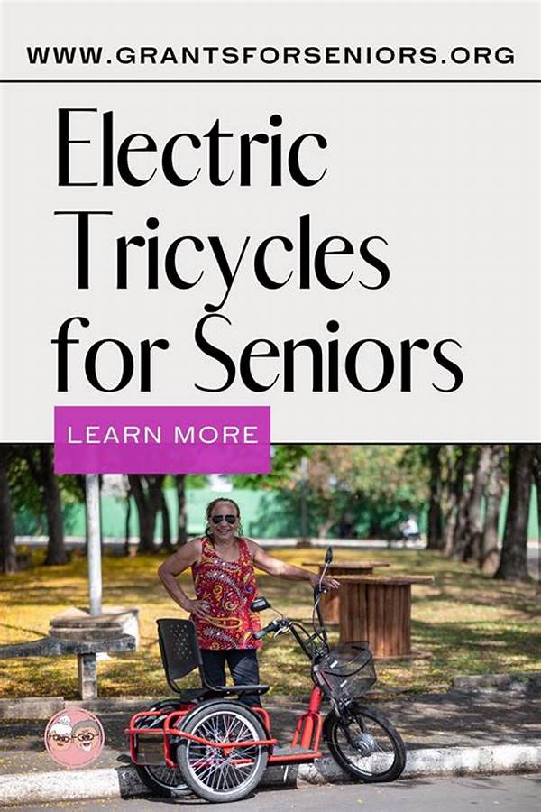 Safety Features In Senior Electric Tricycles