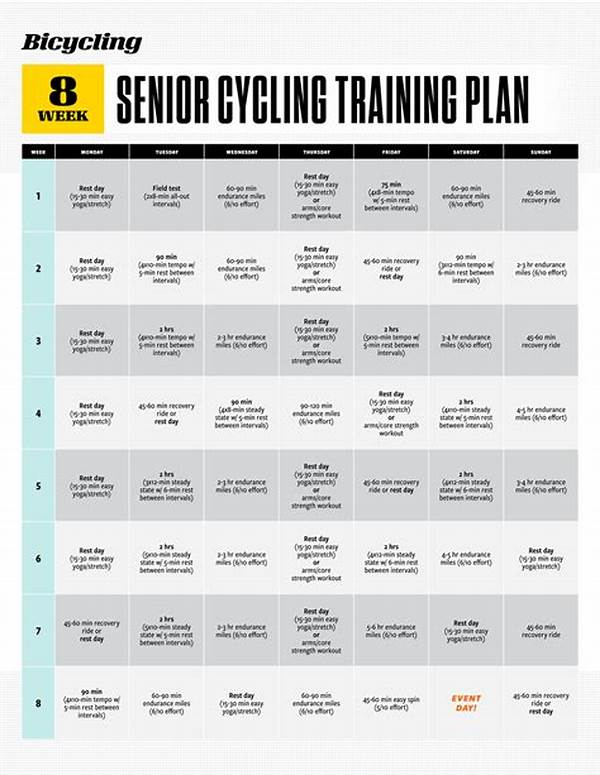 Cycling Tips For Senior Beginners