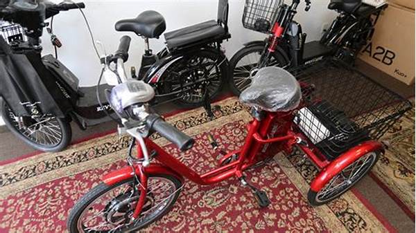 Stable E-trikes For Senior Riders