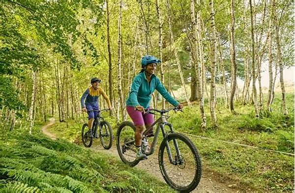 Budget-friendly Mountain Biking Offers