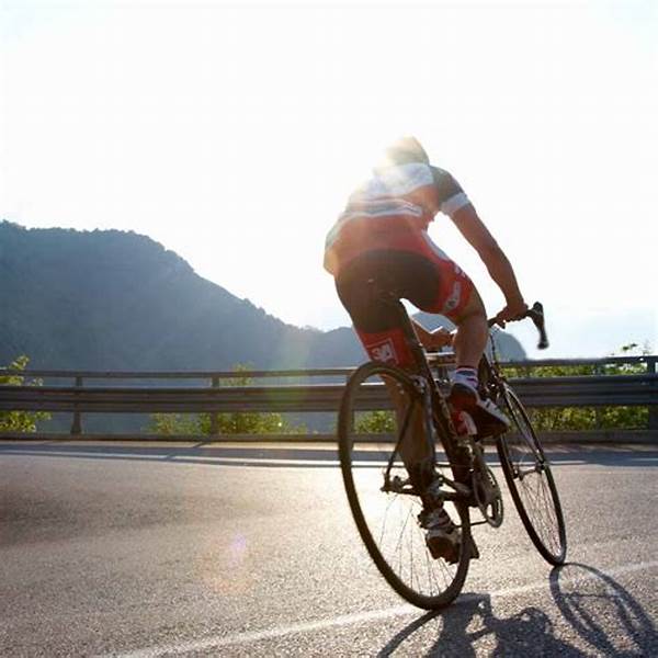 “increasing Loyalty Among Cyclists”