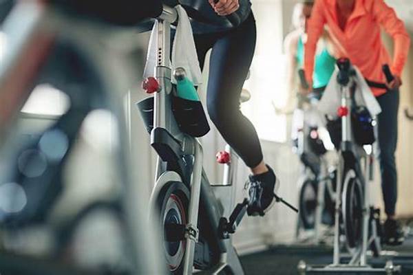 Spinning Session Cardiovascular Zones