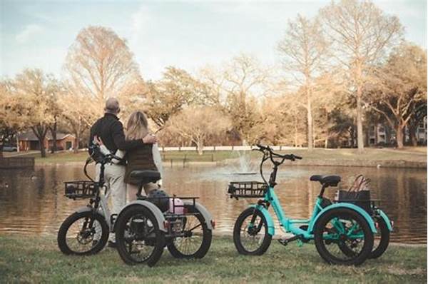 User-friendly Trikes For Aging Riders