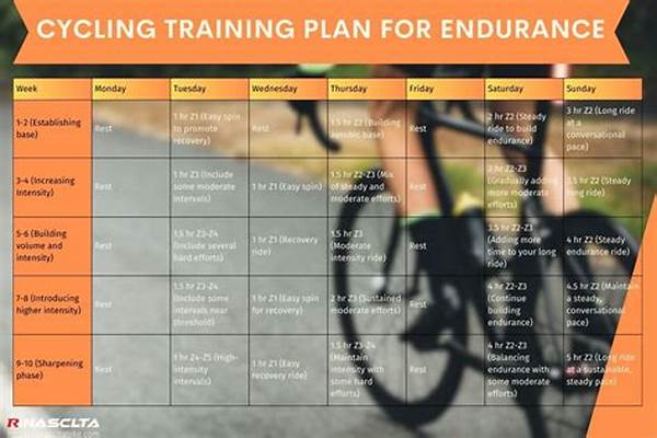 Live-streaming Bike Training Program