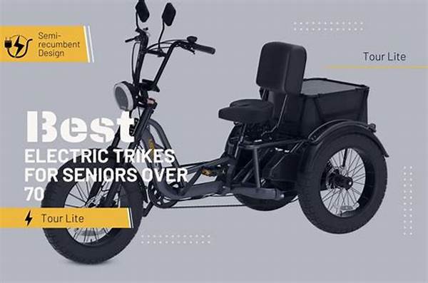 User-friendly Motorized Trikes For Seniors