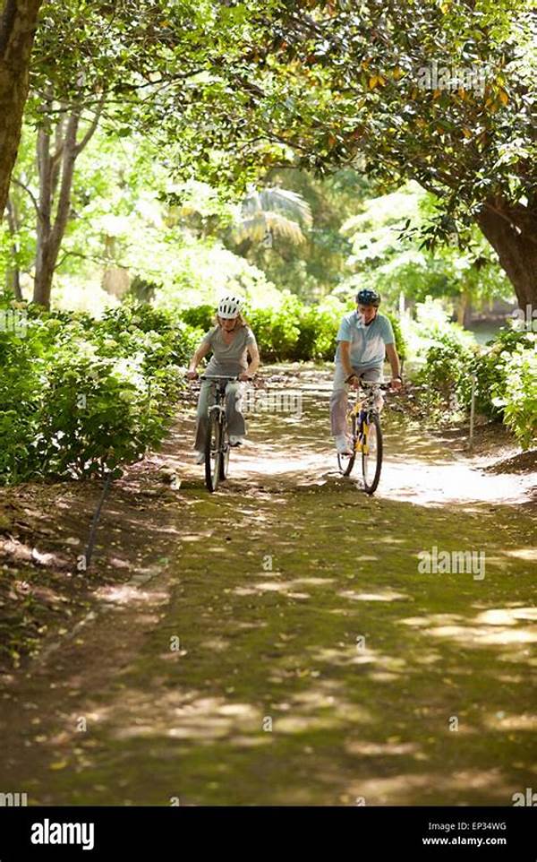 Comfortable Biking Routes For Elderly