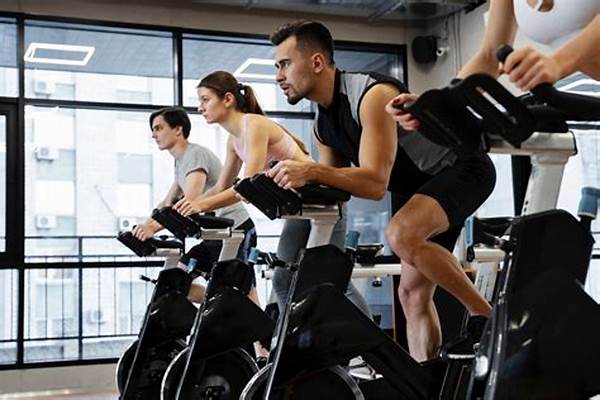 “endurance Cycling For Slimming”