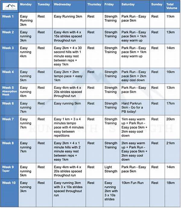 Custom Periodized Workout Plans