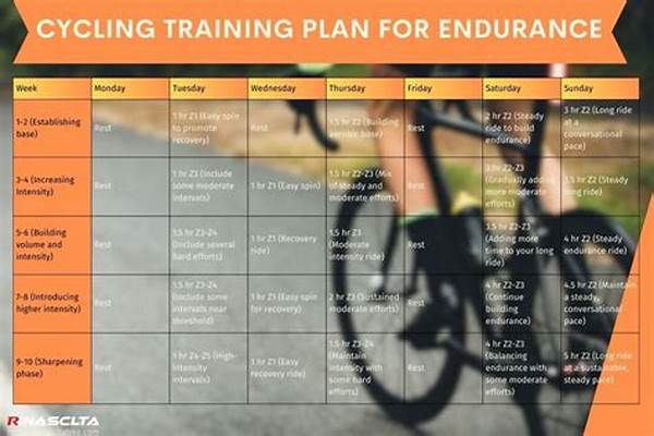 Effective Bike Plans For Endurance