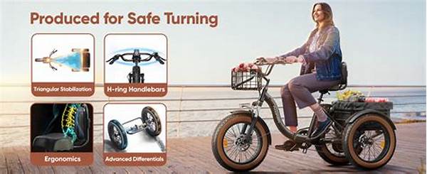 High-comfort E-trikes For Older Users